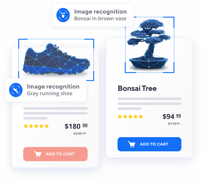 Image recognition technology working on a shoe and bonsai tree