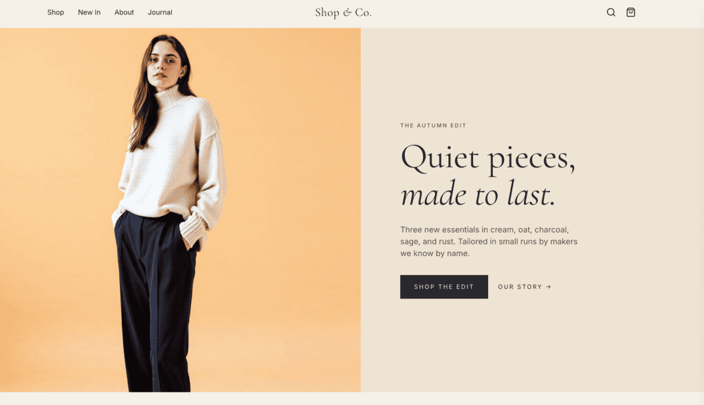 Shop and Co. homepage screenshot